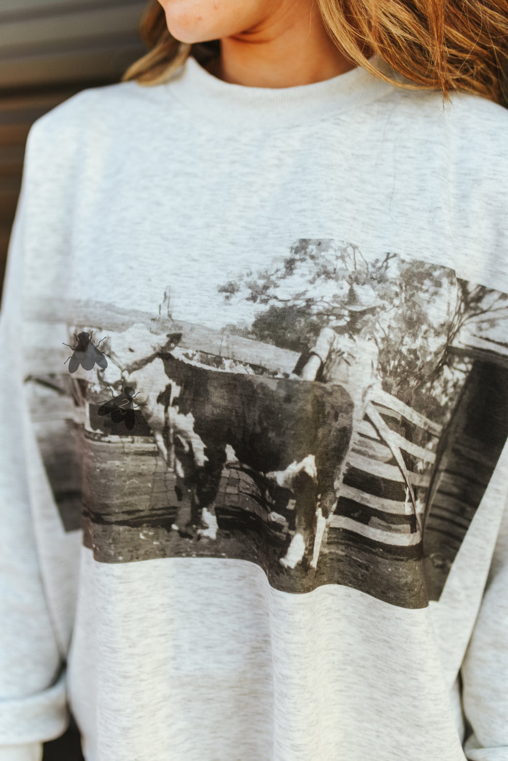 Old School Hereford