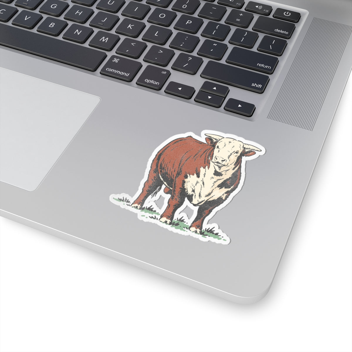 Vintage Hereford Cow Sticker