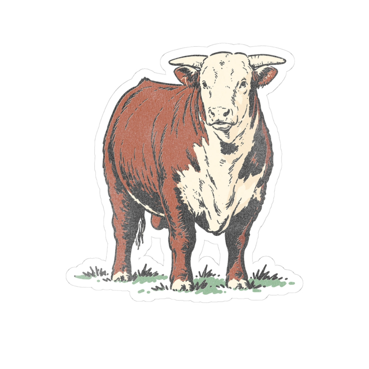 Vintage Hereford Cow Sticker