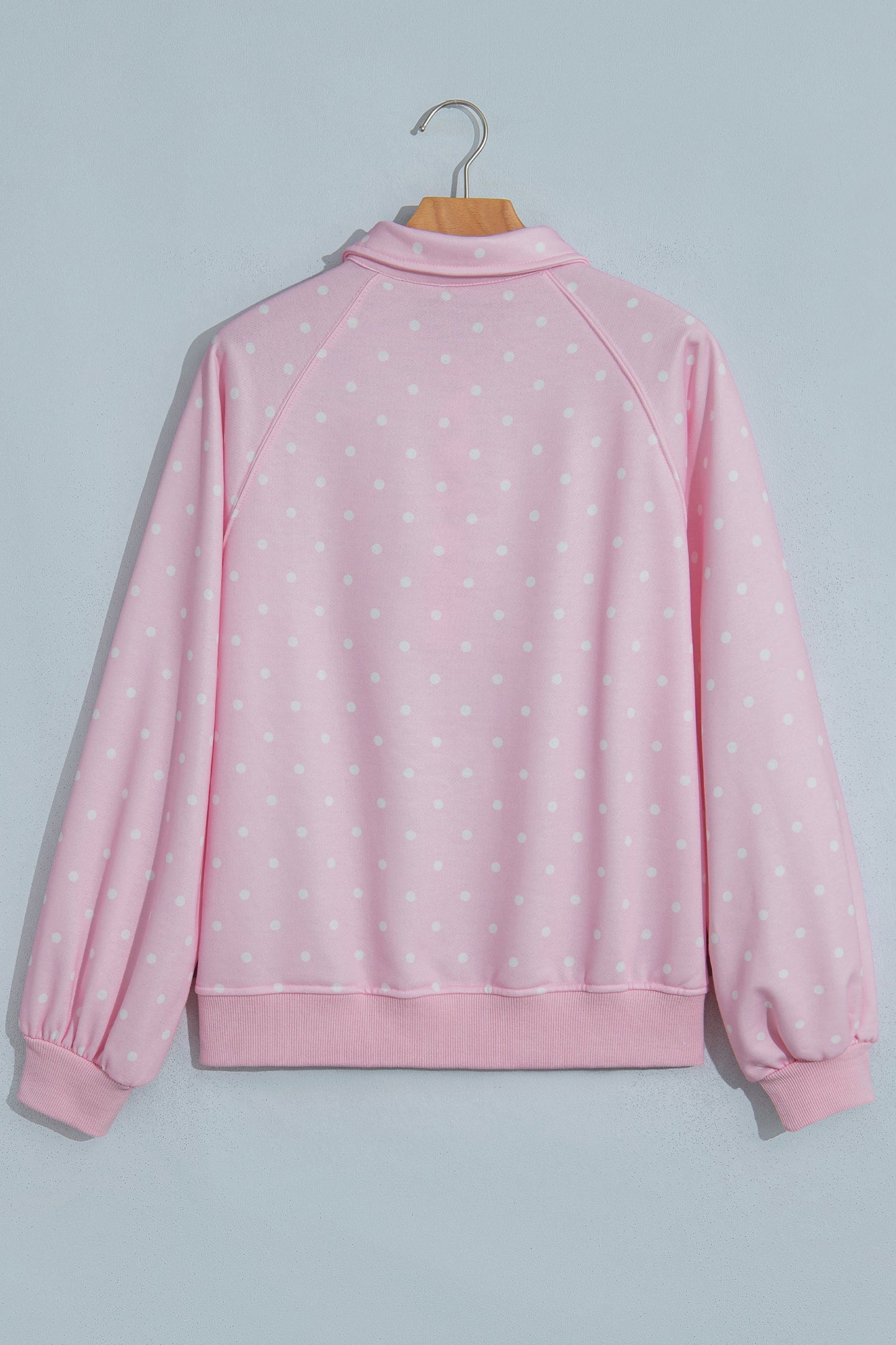 Polka Dot Metal Button Collar Pullover Sweatshirt