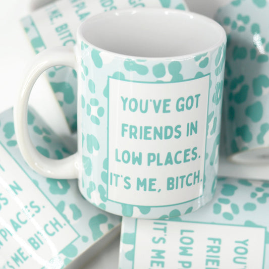 You've Got Friends in Low Places Funny Ceramic Mug